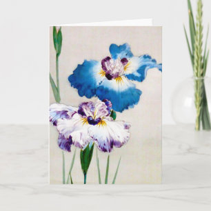 Carte Iris, Watanabe Seitei