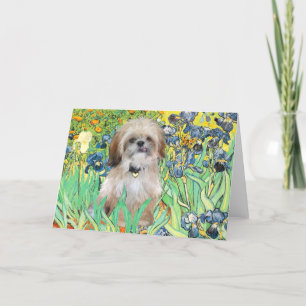 Carte Irises - Shih Tzu (P)