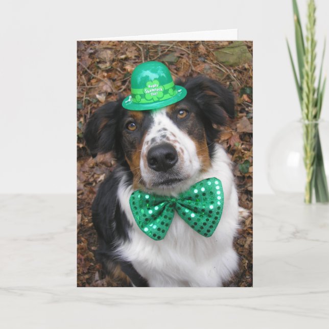 Carte "Irish Laddie" (Devant)