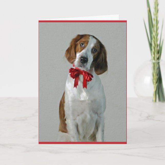 Carte Irish Red and White Setter Cookies Holiday Card (Devant)