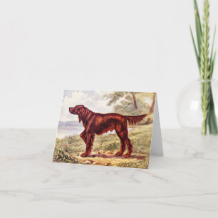 Carte Irish Setter 1900 Illustration du chien sportif