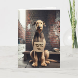 Carte Irish Wolfhound 40e Humour d'anniversaire