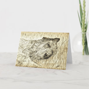 Carte Irish Wolfhound "Laissez les chiens dormir mentir"