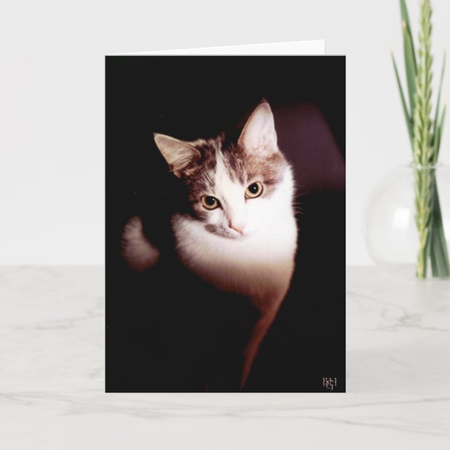 Carte Irrésistible (Devant)