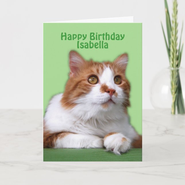 Carte Isabella Joyeux Anniversaire Orange et Chat Blanc (Devant)