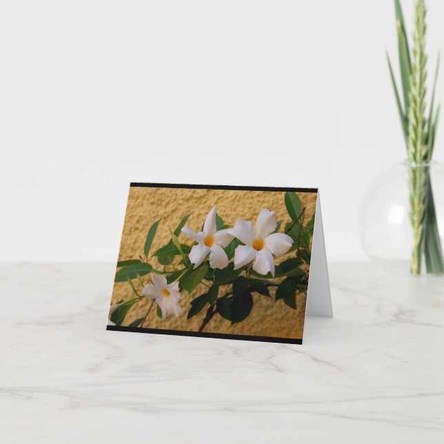 Carte Italian Flowers note card (Devant)