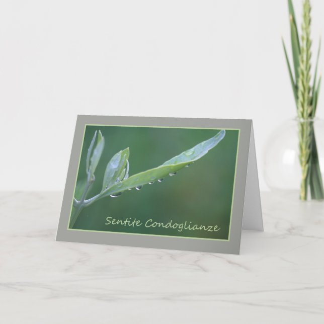 Carte Italien Sympathy Raindrop sur Olive Leaf (Devant)