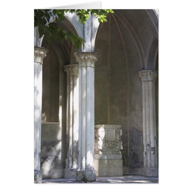 Carte italienne, villa Celimontana (Devant)