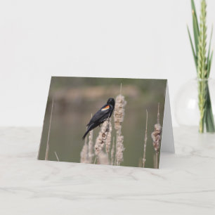 Carte IV. Juste un merle est également un