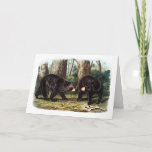 Carte J.W. Audubon - Ours Noir Ursus Americanus