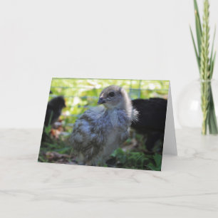 Carte Jacinthe des bois