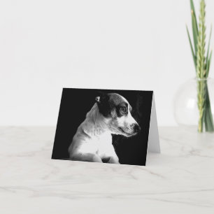 Carte Jack Russell dans la pensée