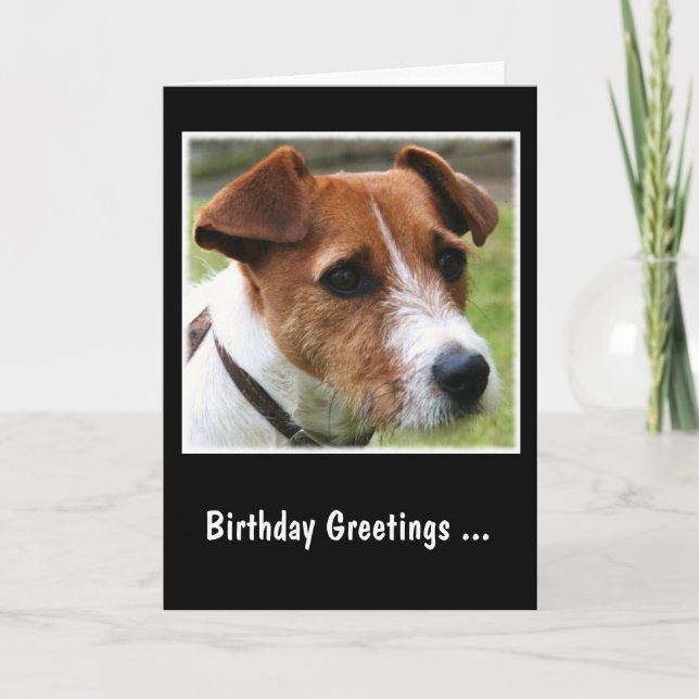Carte Jack Russell Terrier (Devant)