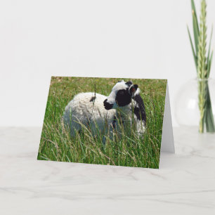 Carte Jacob Ram Fête des Mères