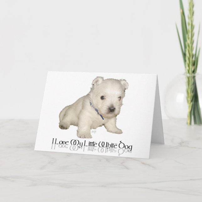 Carte J'adore mon petit chien blanc - chiot Westie (Devant)
