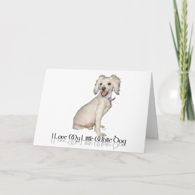 Carte J'adore mon petit chien blanc - mélange de caniche (Devant)