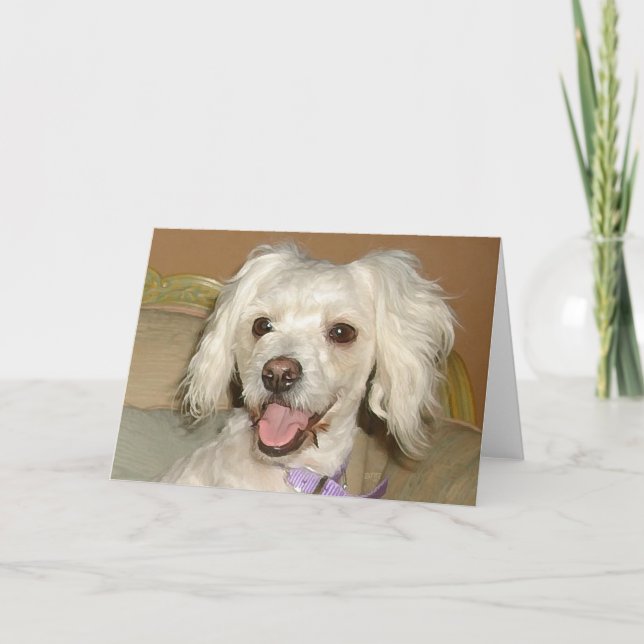 Carte J'adore mon petit chien blanc Poodle / Bichon Mix (Devant)