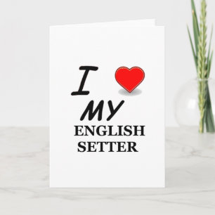 Carte J'adore mon setter anglais