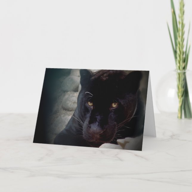 Carte Jaguar (Devant)