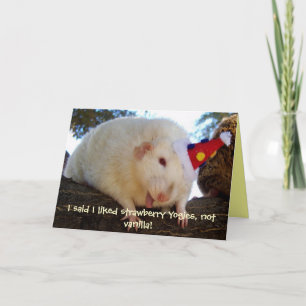 Carte J'ai dit que j'aimais les Yogies aux fraises, pas.