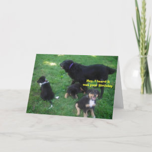 Carte J'ai entendu dire que c'était ton anniversaire