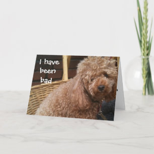 CARTE J'AI ÉTÉ MAUVAIS ANNIVERSAIRE.