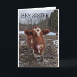 CARTE J'AI EU LE MOOS (NOUVELLES) HEUREUX "ANNIVERSAIRE"<br><div class="desc">CETTE VACHE VIT À QUELQUES KILOMÈTRES DE NOUS. NOUS AIMONS QU'IL A POSÉ L'AUTRE JOUR ET MAINTENANT IL PEUT DIRE "HEUREUX ANNIVERSAIRE" D'UNE MANIÈRE AMUSANTE À QUELQU'UN DANS "VOTRE VIE" MERCI D'ARRÊTER PAR 1 DE MES 8 MAGASINS!</div>