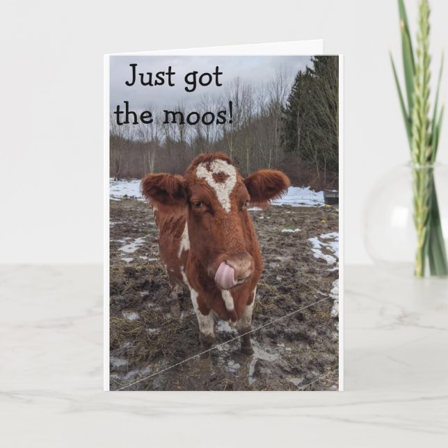 CARTE J'AI EU LE MOOS (NOUVELLES) HEUREUX "ANNIVERSAIRE" (Devant)