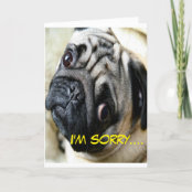 Carte Desole J Ai Oublie Ton Anniversaire Chat Battu Zazzle Fr