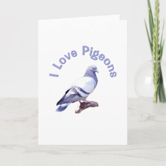 Carte J'aime les pigeons