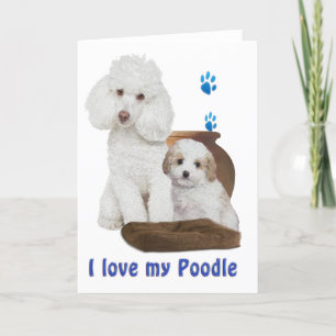 Carte J'aime mon caniche