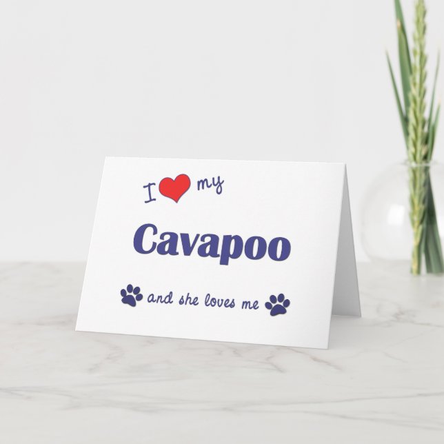 Carte J'Aime Mon Cavapoo (Chien Féminin) (Devant)