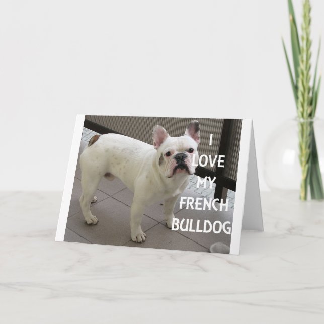 Carte J'Aime Mon Chien À Balle Français (Devant)