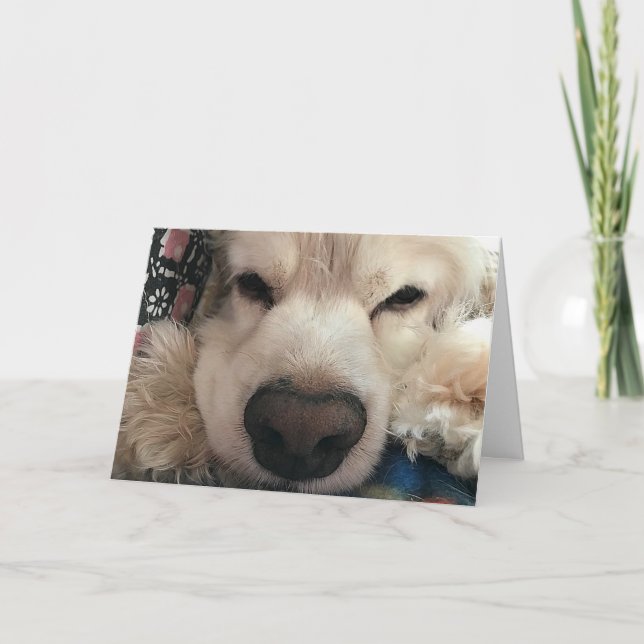 CARTE J'AIMERAIS "VOUS VOIR" POUR VOTRE ANNIVERSAIRE (Devant)