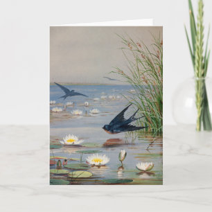 Carte Janvier   Ponts Fidelia