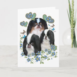 Carte Japanese Chin All Occasion Greeting Cards and Art