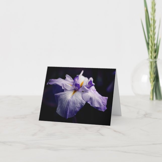 Carte Japanese Iris Beauty Flower Photography Note (Devant)