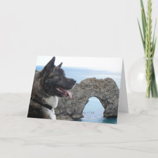 Carte Japaness Akita