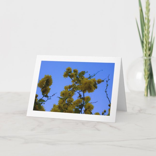 Carte Japnonica (Devant)