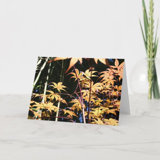 Carte Japon Maples 5 Photos Florales HGC (Devant)