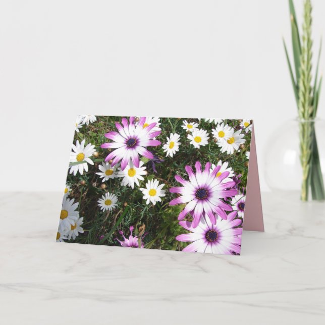 Carte Jardin à fleurs violet blanc (Devant)