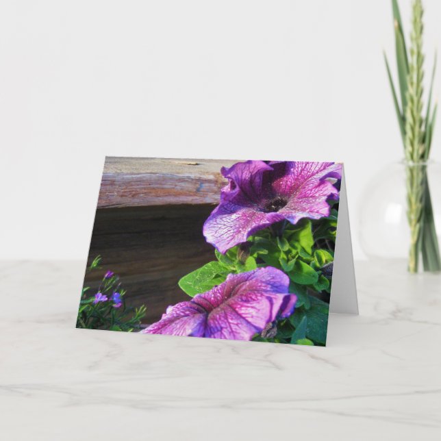 Carte Jardin aux fleurs violettes (Devant)