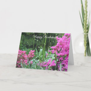 Carte Jardin Beau
