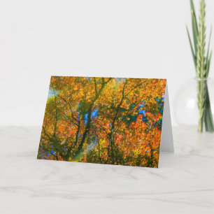 Carte Jardin botanique VanDusen Vancouver, Canada