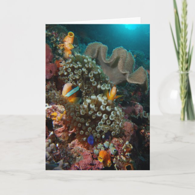 Carte Jardin de poissons d'Anemone (Devant)