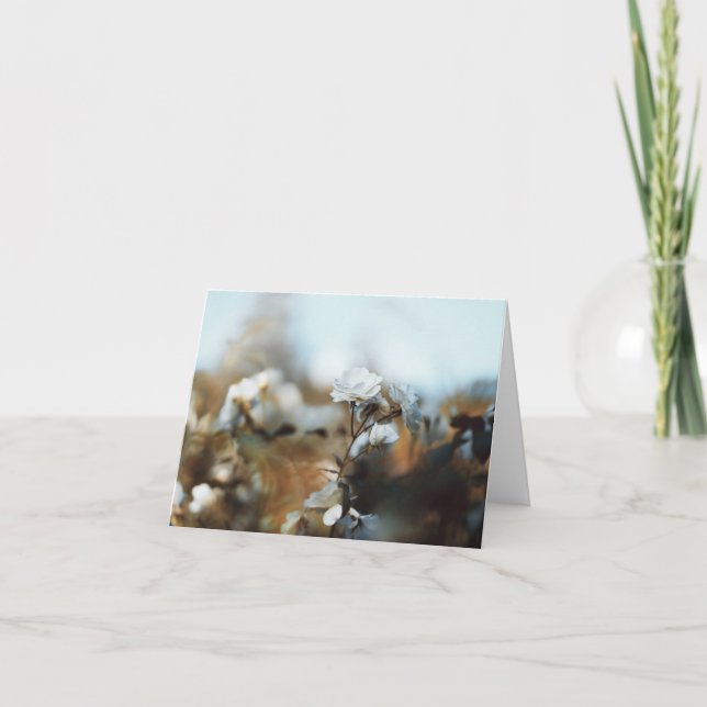 Carte Jardin de roses blanches rêveur avec un bokeh vint (Devant)