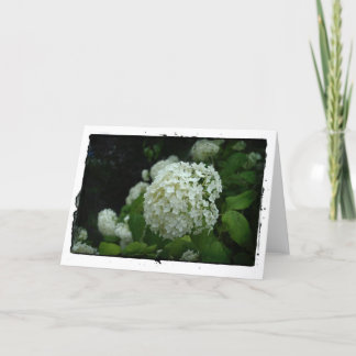 Carte Jardin de Suède