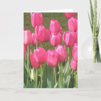 Carte Jardin de tulipes rose vif