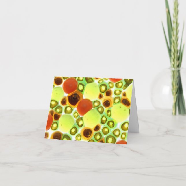 Carte jardin en verre no 2 (Devant)