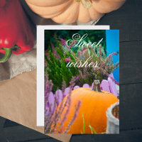 Jardin encore vie avec citrouille orange